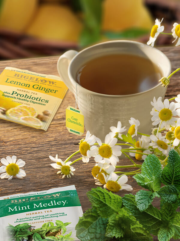 These Ingredients will grow your hair like crazy! | HERBAL HAIR TEA