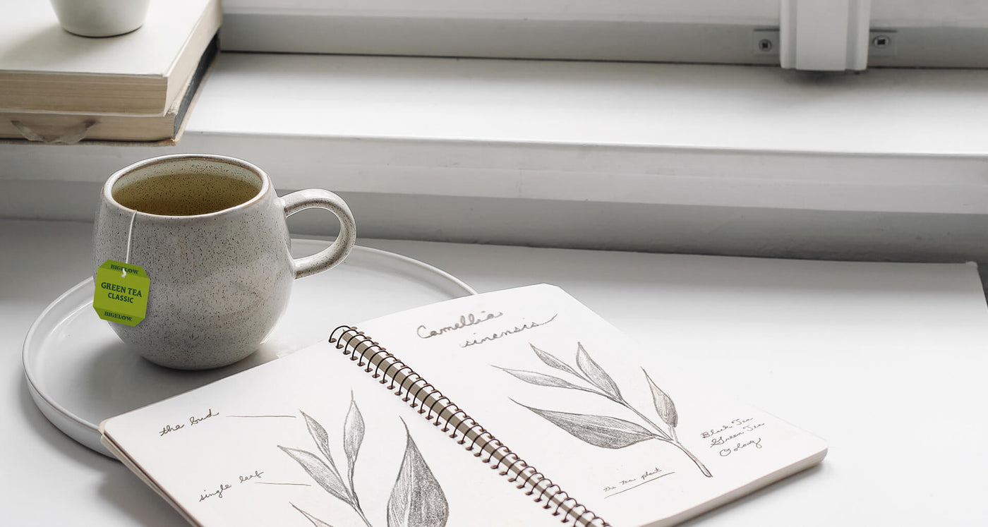 Bigelow Tea | Tea Education - green tea in cup with notebook - Desktop