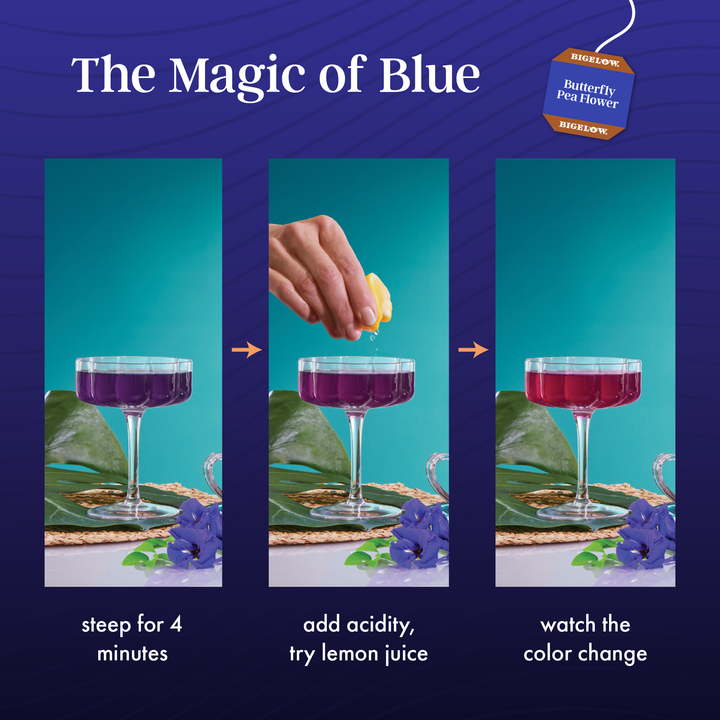 Instructions on how to make Sapphire Bay Butterfly Pea Flower Herbal Tea