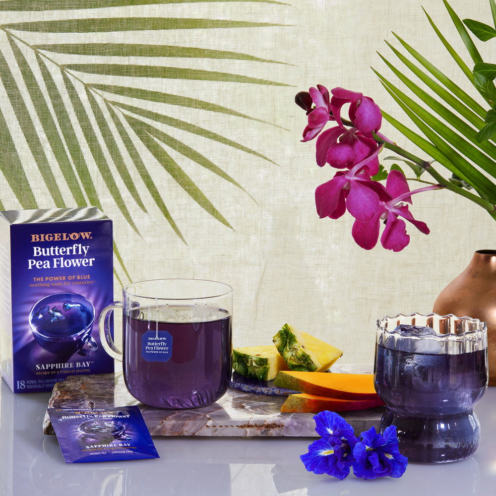 Cup of Sapphire Bay Butterfly Pea Flower Herbal Tea hot and over ice with foil and box