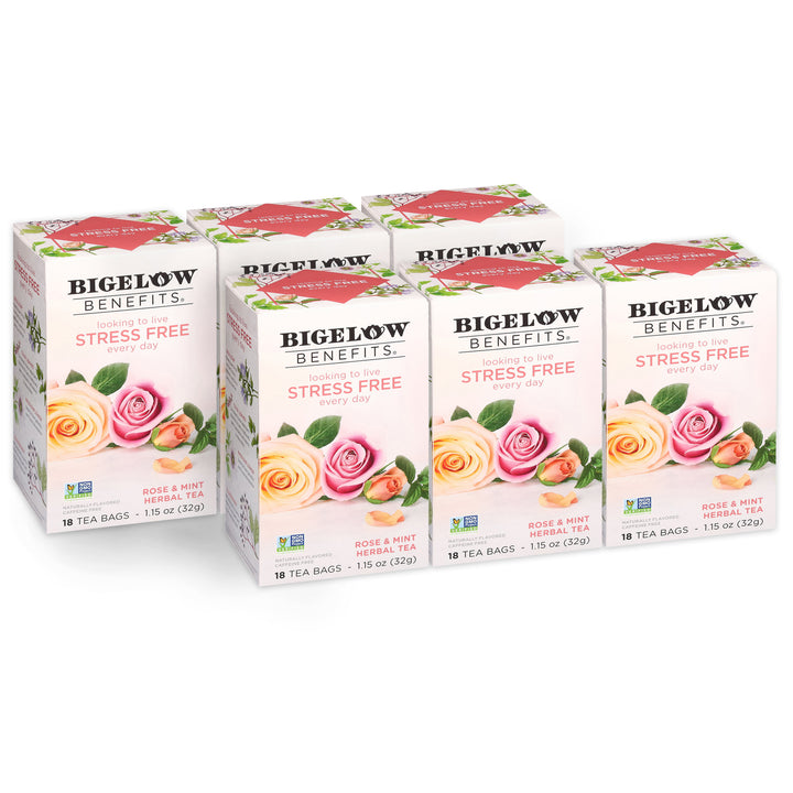 6 boxes of Benefits Rose and Mint Herbal Tea