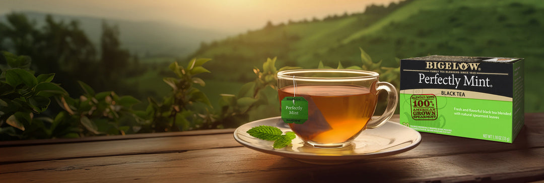 No PFAS In A Cup Of Bigelow Tea