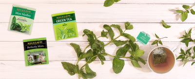 Mint: The Bigelow Refreshing Tea and Botanical Twist