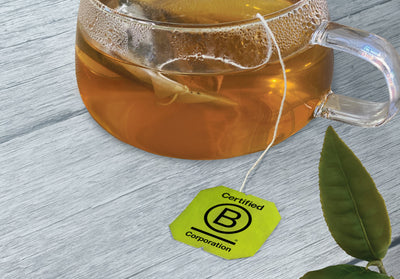 The B Corporation Mindset: Bigelow Tea's Commitment to Making a Difference