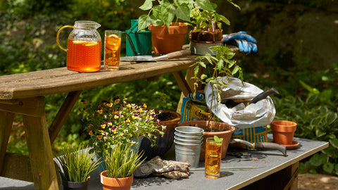 Unwind with Bigelow Herbal Teas, Perfect For Iced Tea Season