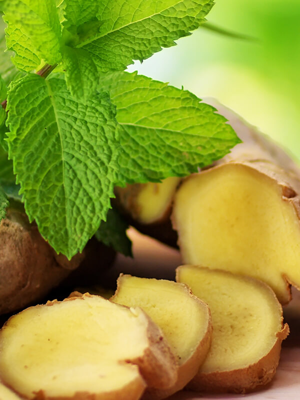 Digestive Health