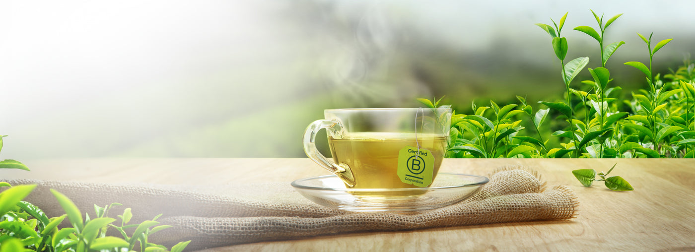 Bigelow Tea - Buy Tea Online at Bigelow Tea Store