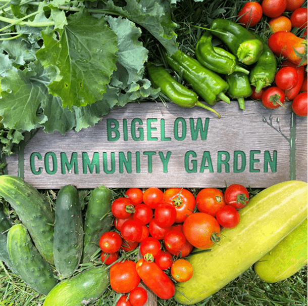 Bigelow Tea | Bigelow Community Garden sign with vegetables