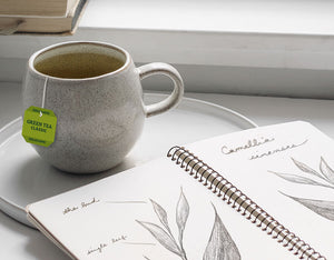 Bigelow Tea | Tea Education - Cup of tea with a notebook
