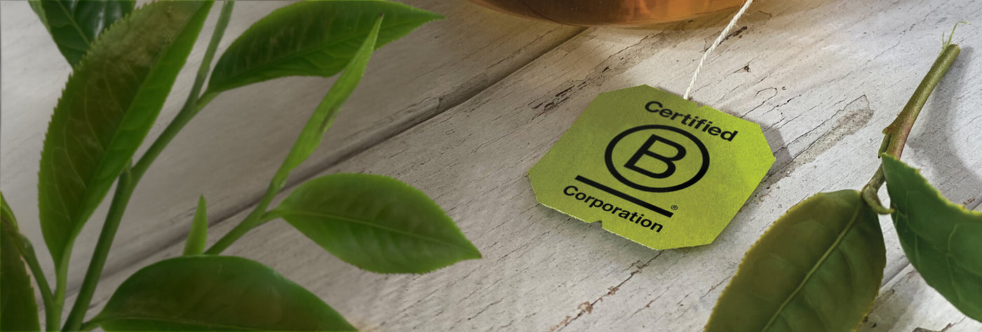 Bigelow Tea | Certified B Corporation - Certified B Tea tag on table - Desktop