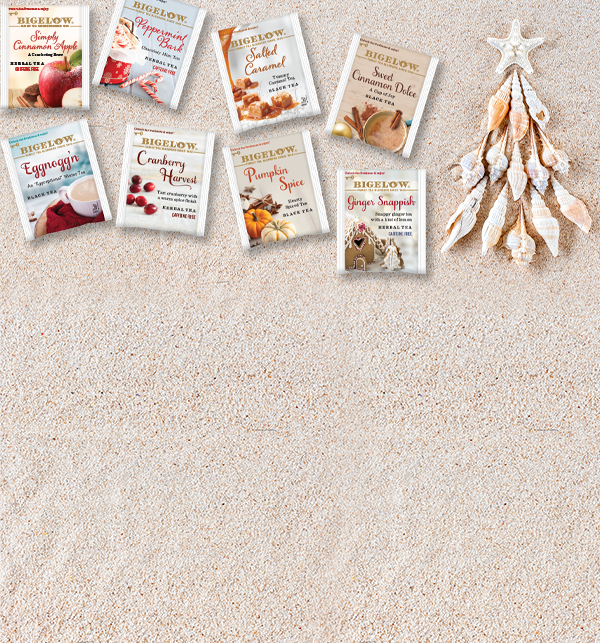 Sand background with 8 seasonal tea overwrap tea bags with seashell tree
