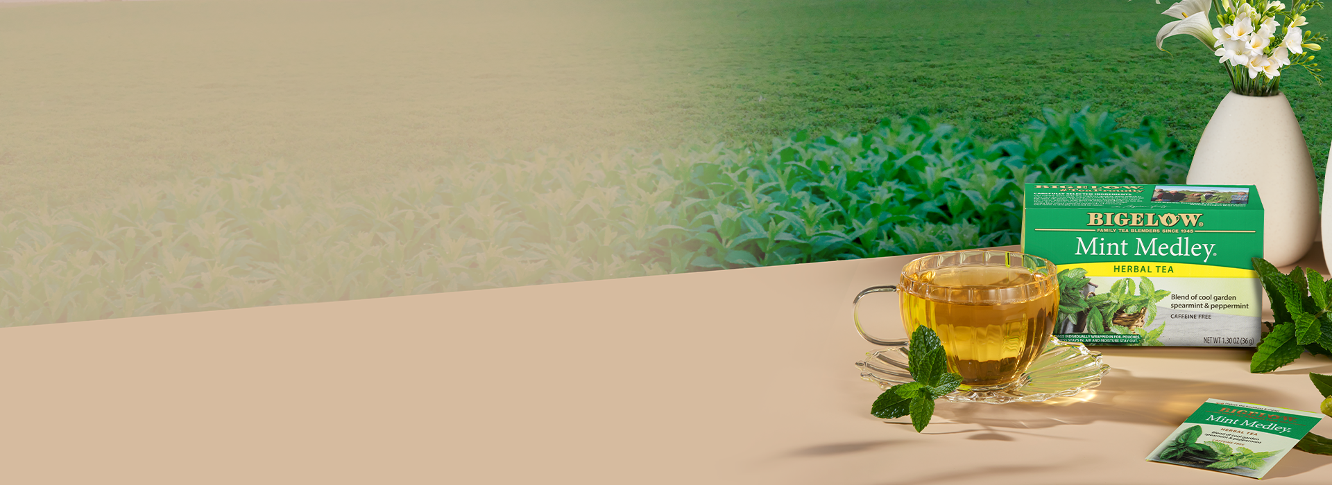 Bigelow Mint Medley tea packaging with a cup of tea on a table