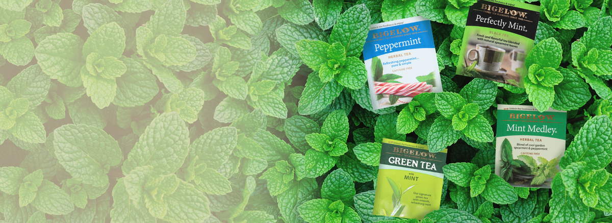 Four Bigelow herbal tea packets arranged on a bed of fresh green mint leaves. The packets include Peppermint, Perfectly Mint, Green Tea, and Mint Medley.