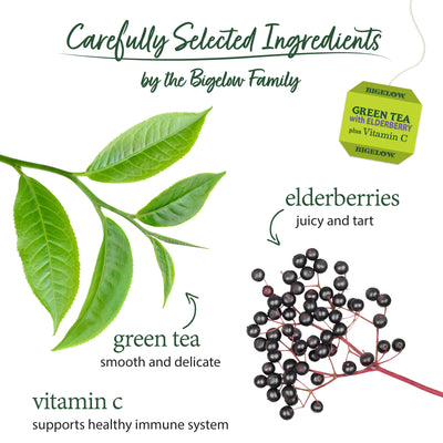 Ingredients of Green Tea with Elderberry plus Vitamin C