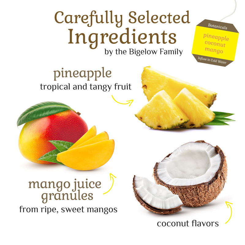 Ingredients of Botanical Pineapple Coconut Mango Cold Water Infusion