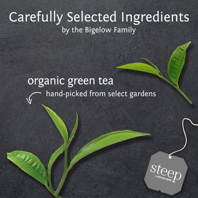 Ingredients of steep by bigelow organic pure green tea