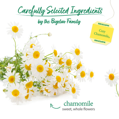 Ingredients of Cozy Chamomile Herbal Tea