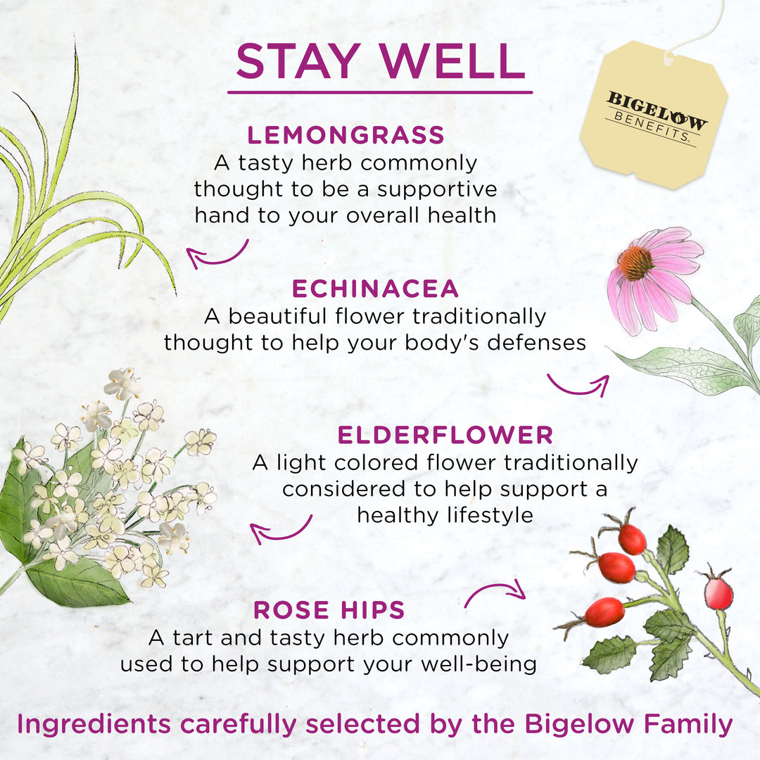 lily flower tea benefits Benefits Lemon and Echinacea Herbal Tea - Case of 6 boxes