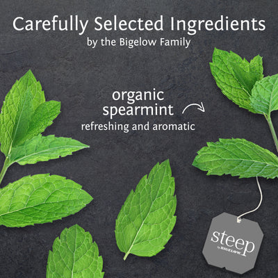 Ingredients of steep by bigelow organic mint herbal tea