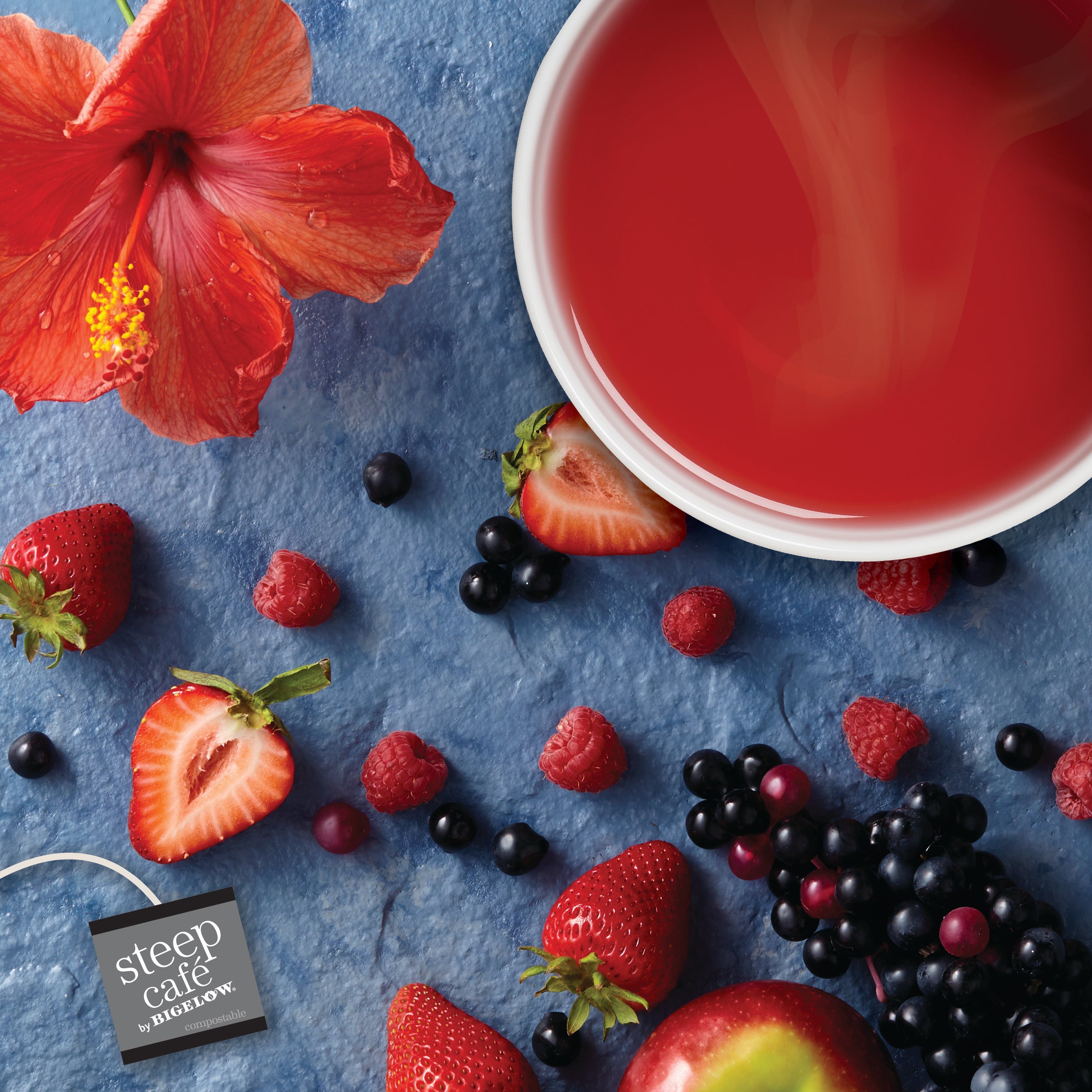 steep Café Organic Wildberry Hibiscus Herbal Tea - Box of 50