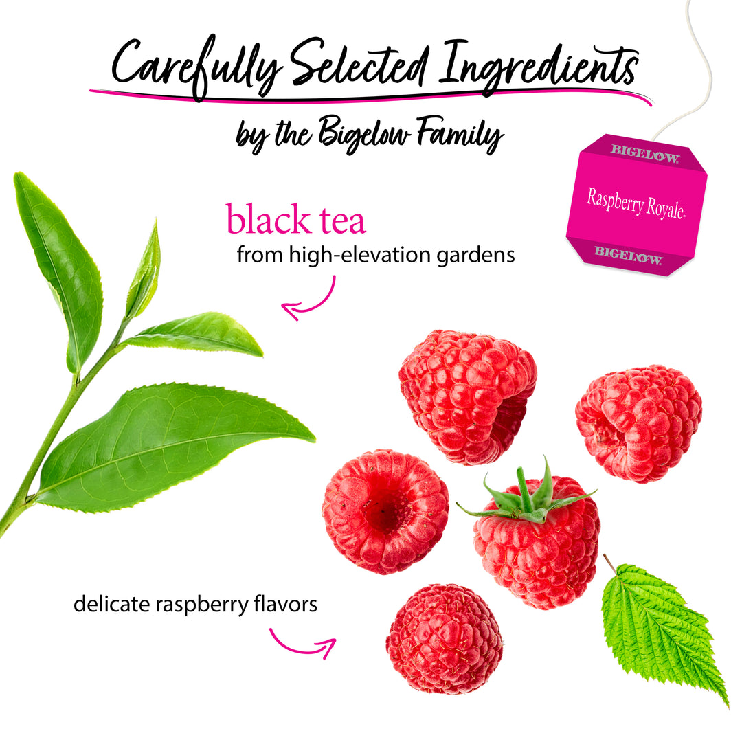 Raspberry Royale Tea - Case of 6 boxes- total of 120 teabags β Bigelow Tea
