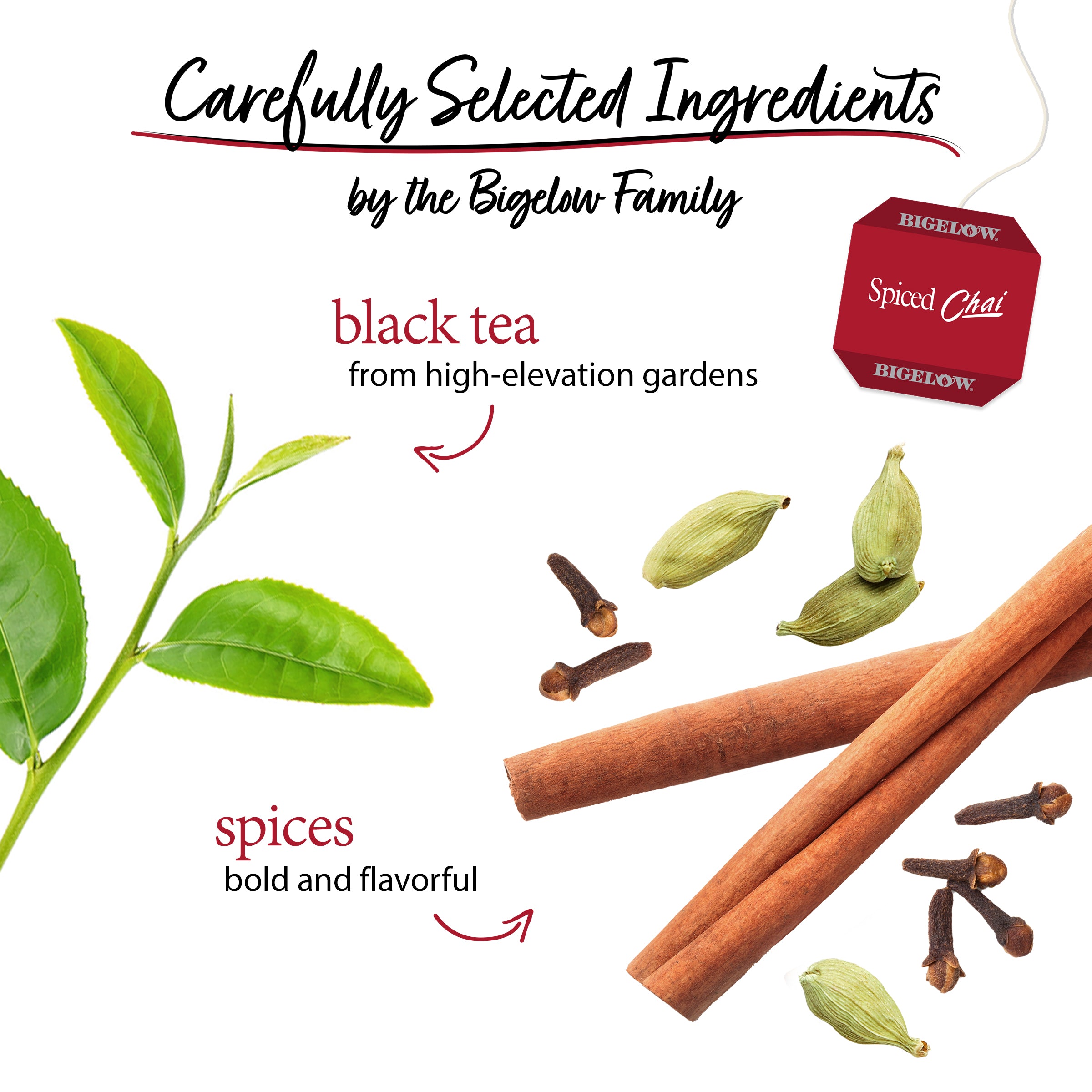 Spiced Chai Tea - Case of 6 boxes- total of 120 teabags – Bigelow Tea