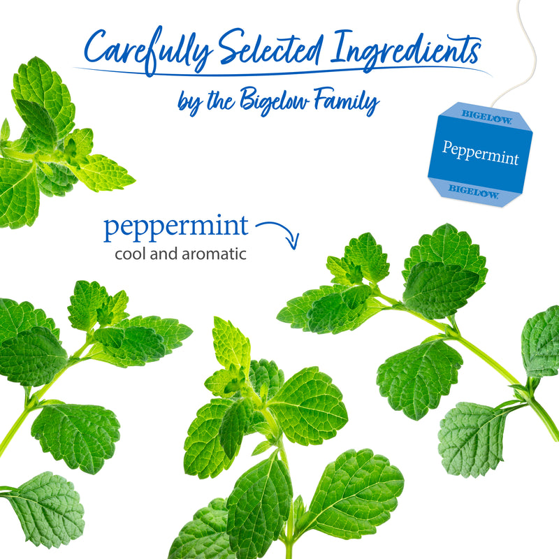 Ingredients of Peppermint Herbal Tea