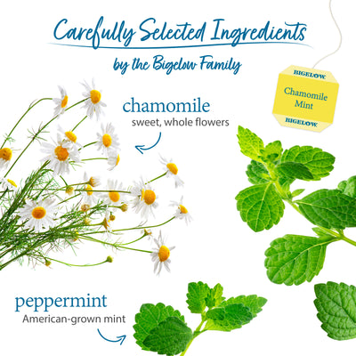Ingredients of Chamomile Mint Herbal Tea