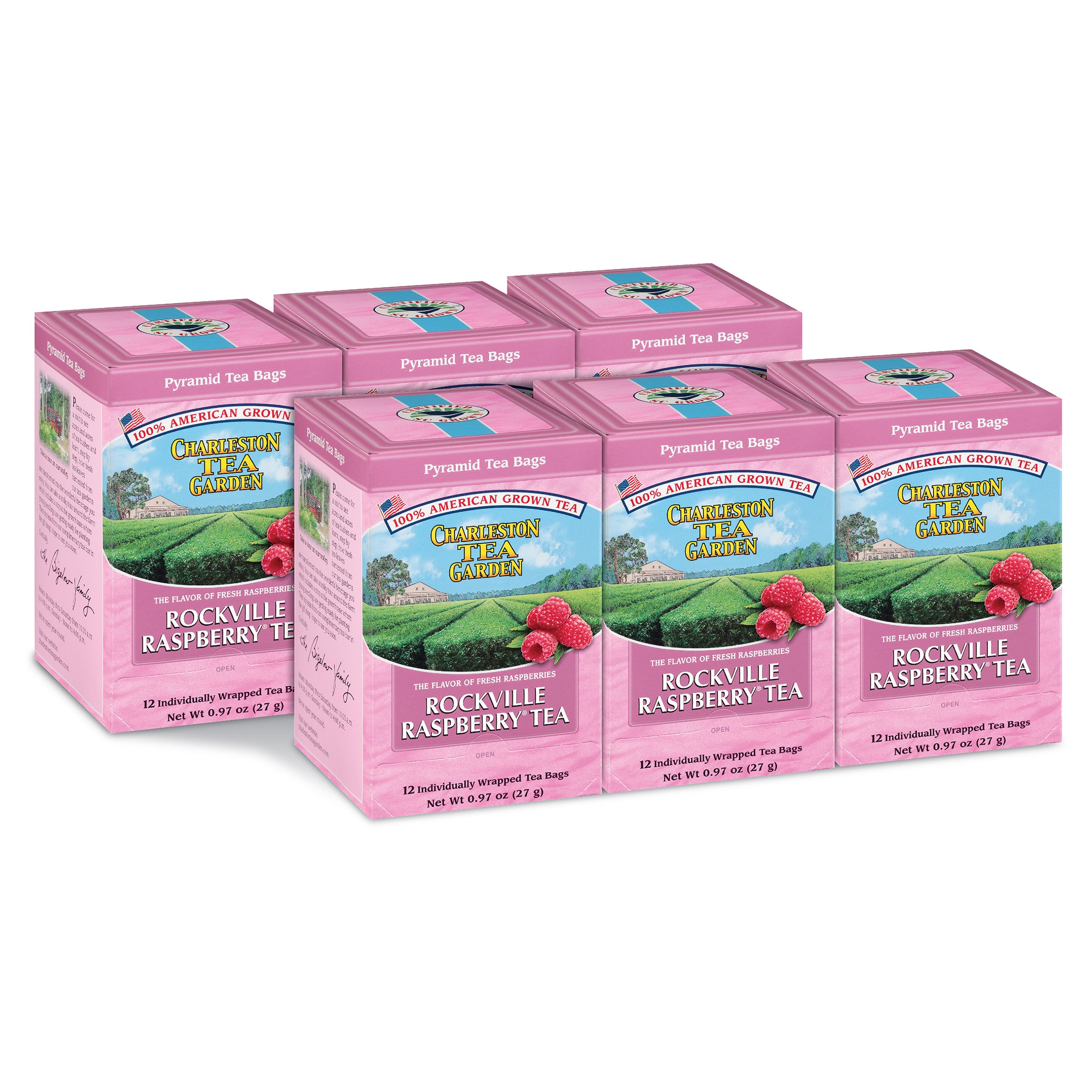 Rockville Raspberry® Pyramid Bags - Case of 6 boxes- total of 72