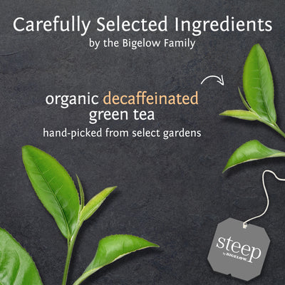 Ingredients of steep by bigelow organic pure green decafffeinated  tea