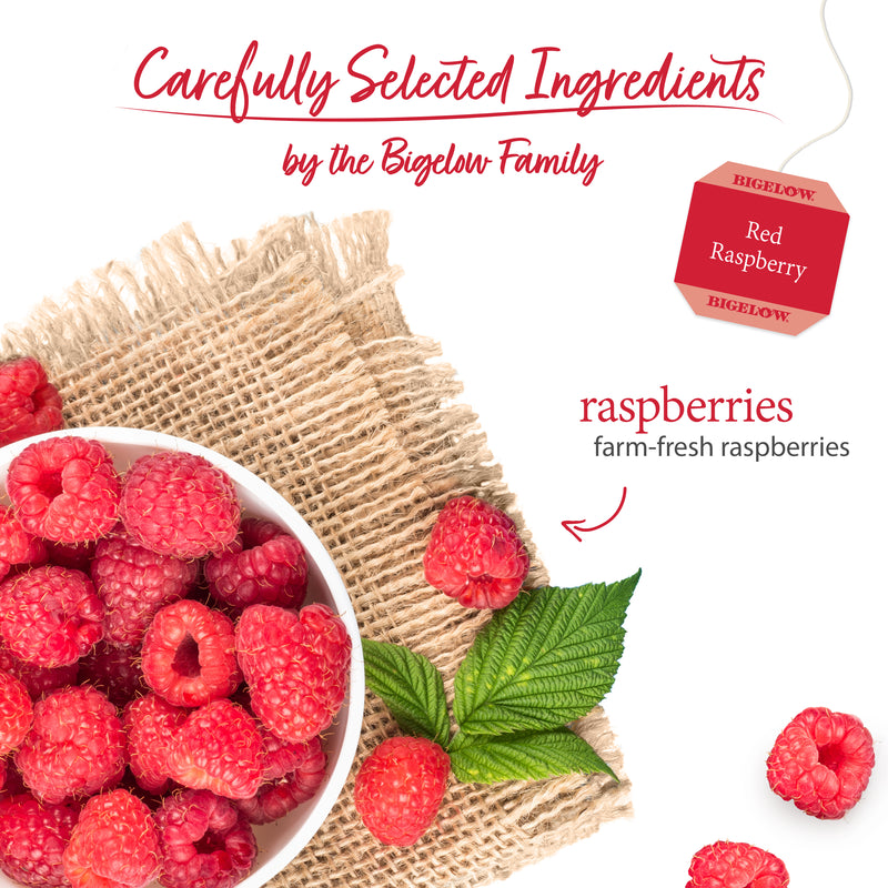 Red Raspberry Herbal Tea - Case of 6 boxes - total of 120 teabags ...