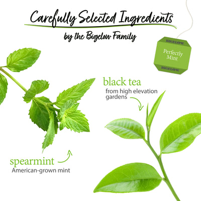 Ingredients of Perfectly Mint Tea