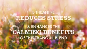 L-theanine reduces stress text on wildflower background
