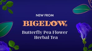 Butterfly Pea Flower Vanilla Midnight Herbal Tea