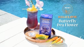 Butterfly Pea Flower Sapphire Bay Herbal Tea