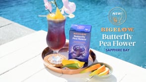 Bigelow Butterfly Pea Flower Sapphire Bay tea box on deck near blue pool water