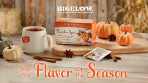 Bigelow Pumpkin Spice Tea box with white mug on wood background with pumpkins