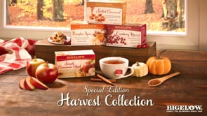Pumpkin Spice Black Tea