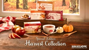 Bigelow Fall Tea boxes of Simply Cinnamon Apple, Salted Caramel, Pumpkin Spice, Cranberry Harvest on wood table in Fall setting