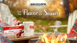 Flavor of the Season Bigelow Simply Cinnamon Apple tea box in fall setting with campfire
