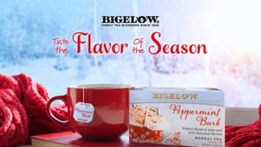 Bigelow Flavor Of the Season with red sweater and red cup and box of Bigelow Peppermint Bark herbal tea