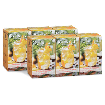 6 Boxes of Botanical Pineapple Coconut Mango Cold Water Infusion