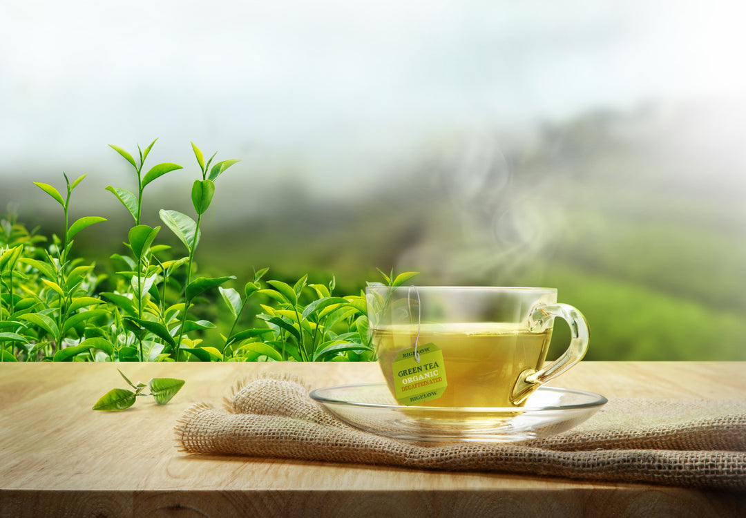 CENVEL® Large Leaf Green Tea | Exquisite Taste & Aroma | Extra Large Leaves Premium Green Tea | Pure & Natural | Non GMO | Vegan Friendly | High In