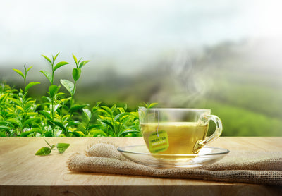 Cup of Organic Green Tea Decaf Tea
