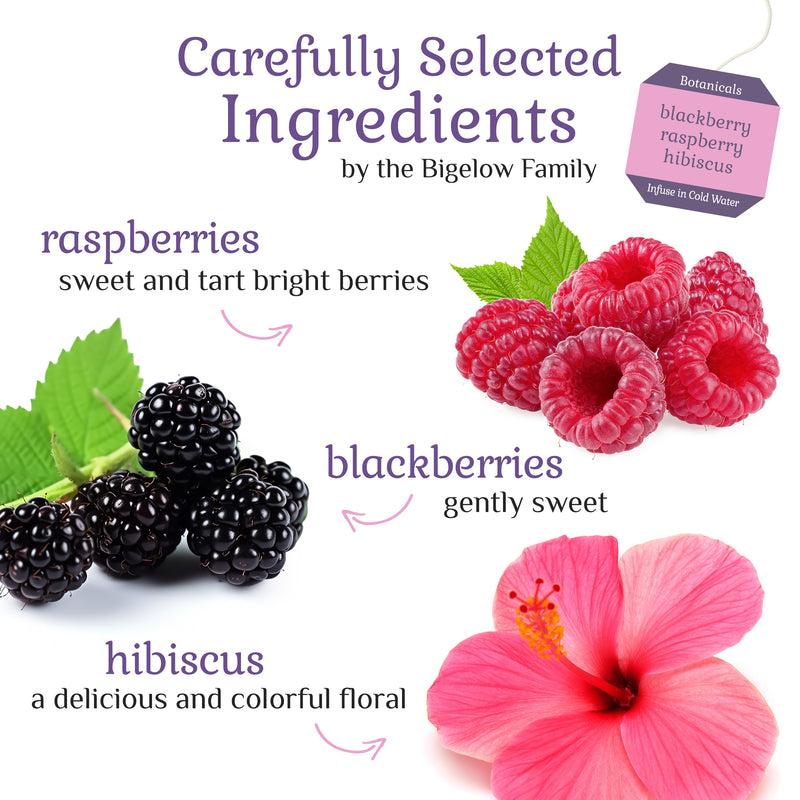Ingredients of Blackberry Raspberry Hibiscus Cold Water Infusion