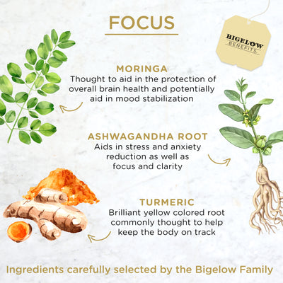 Ingredients of Moringa Black Tea