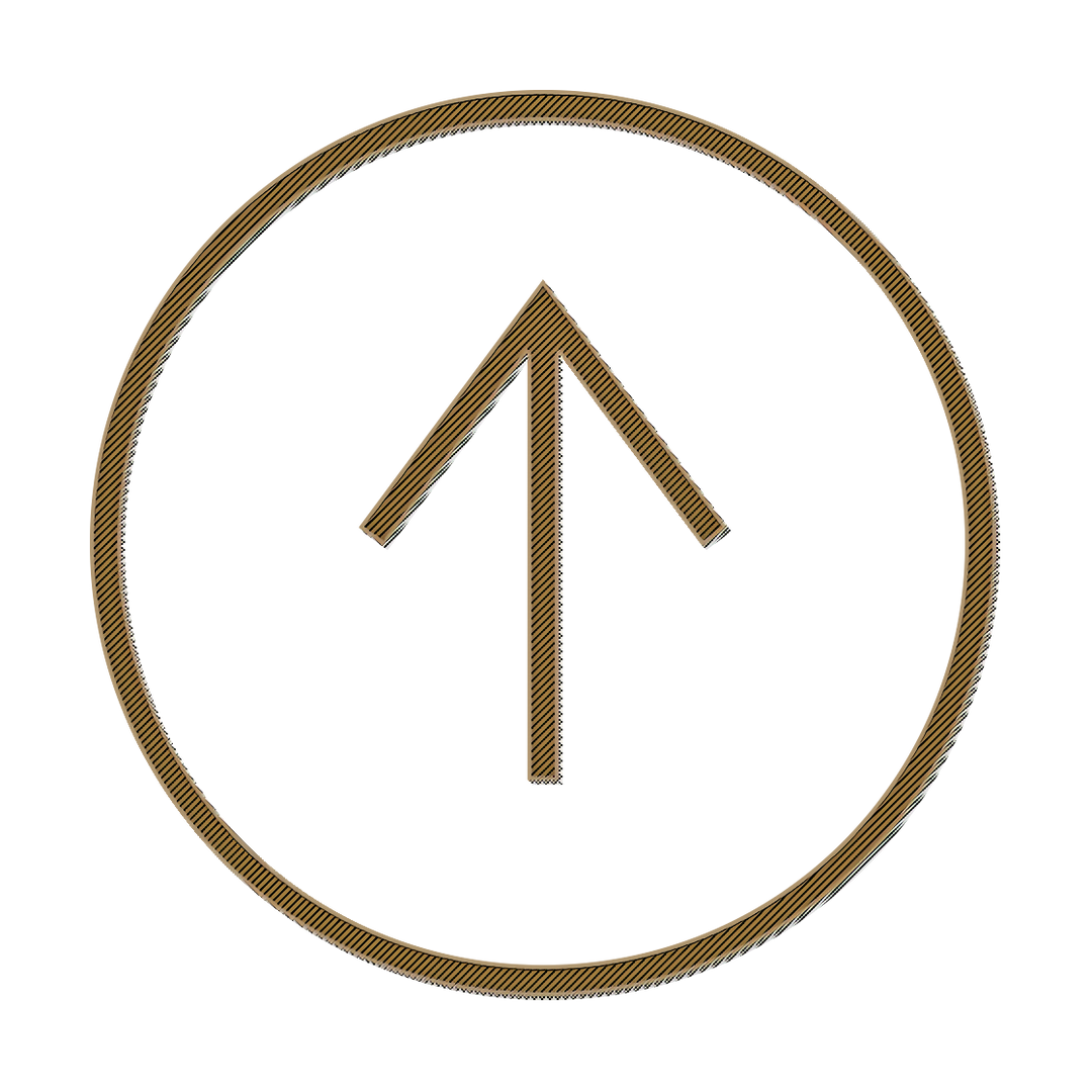 Runic symbol inside a circular border on a white background