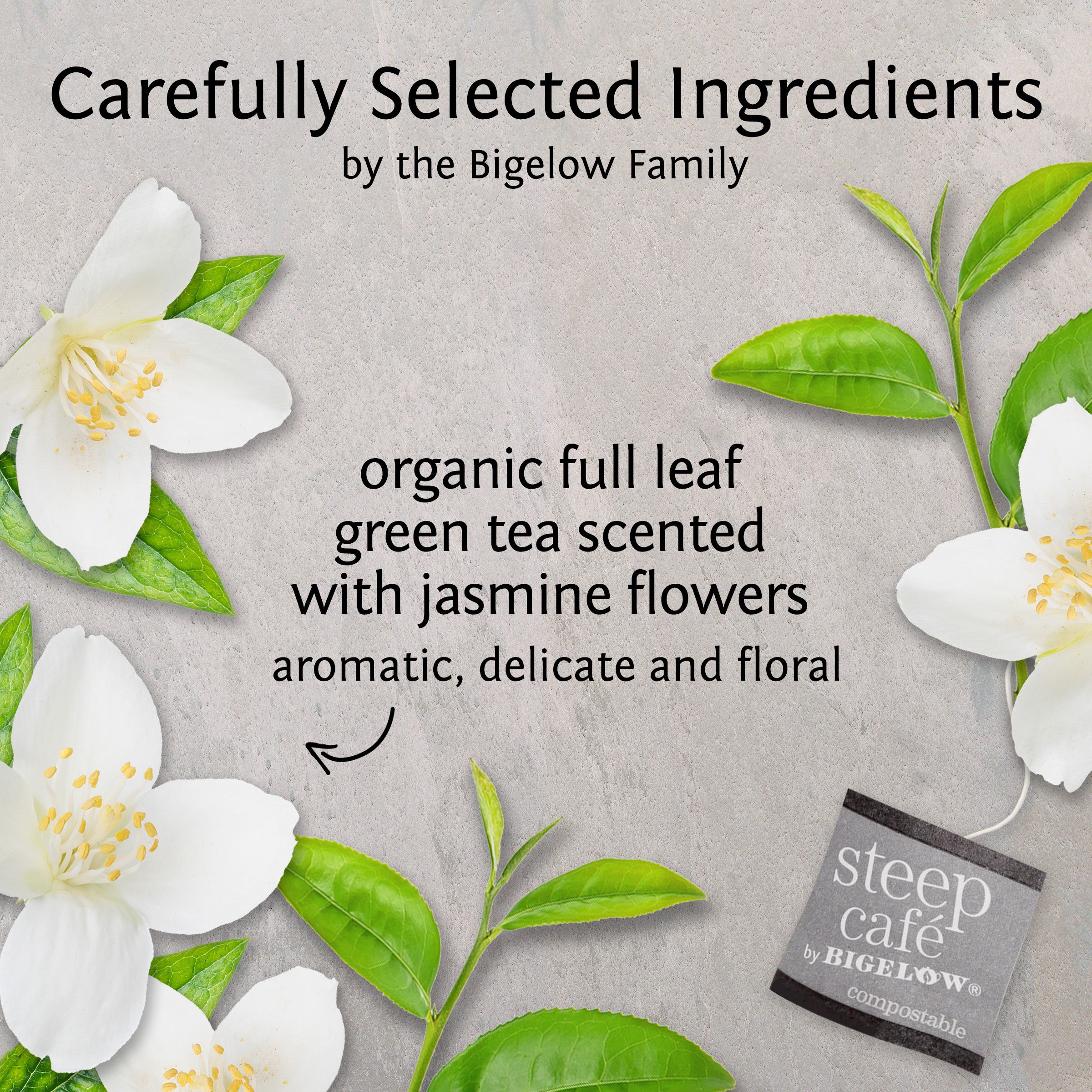 steep Café Organic Jasmine Green Tea - Box of 50 pyramid tea bags
