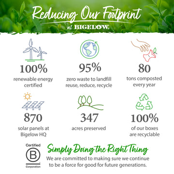 Constant Comment Tea - Case of 6 boxes - total of 120 teabags – Bigelow Tea