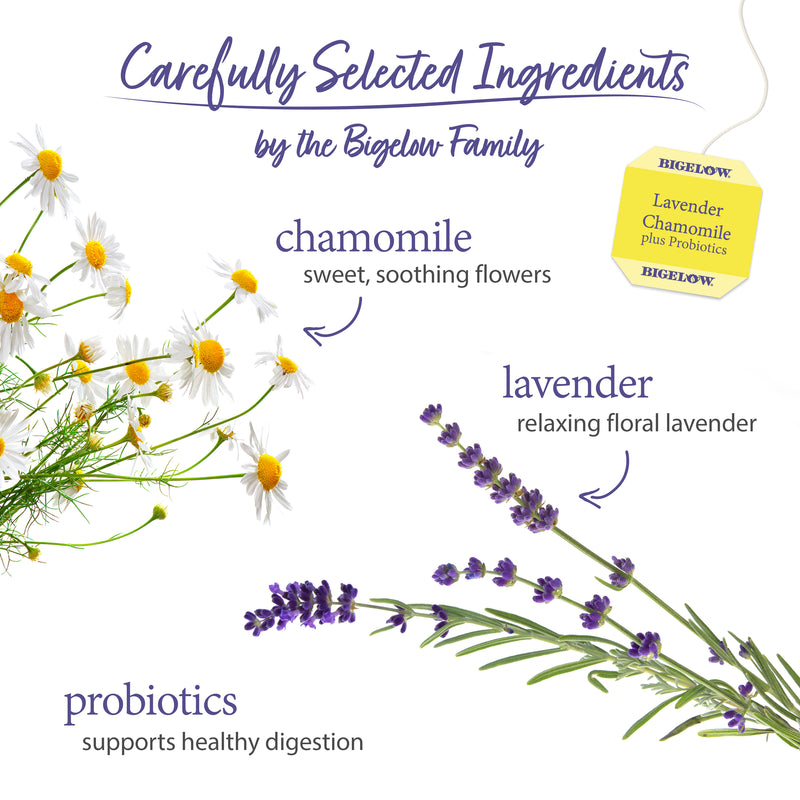 Ingredients of Lavender Chamomile Plus Probiotics Herbal Tea